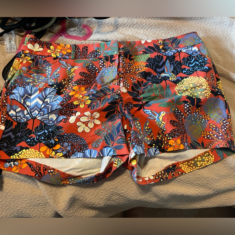 Loft Plus shorts